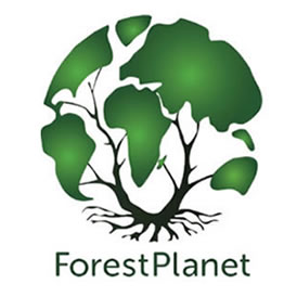 ForestPlanet