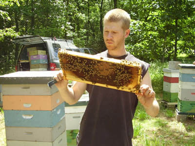 Swarmbustin Honey